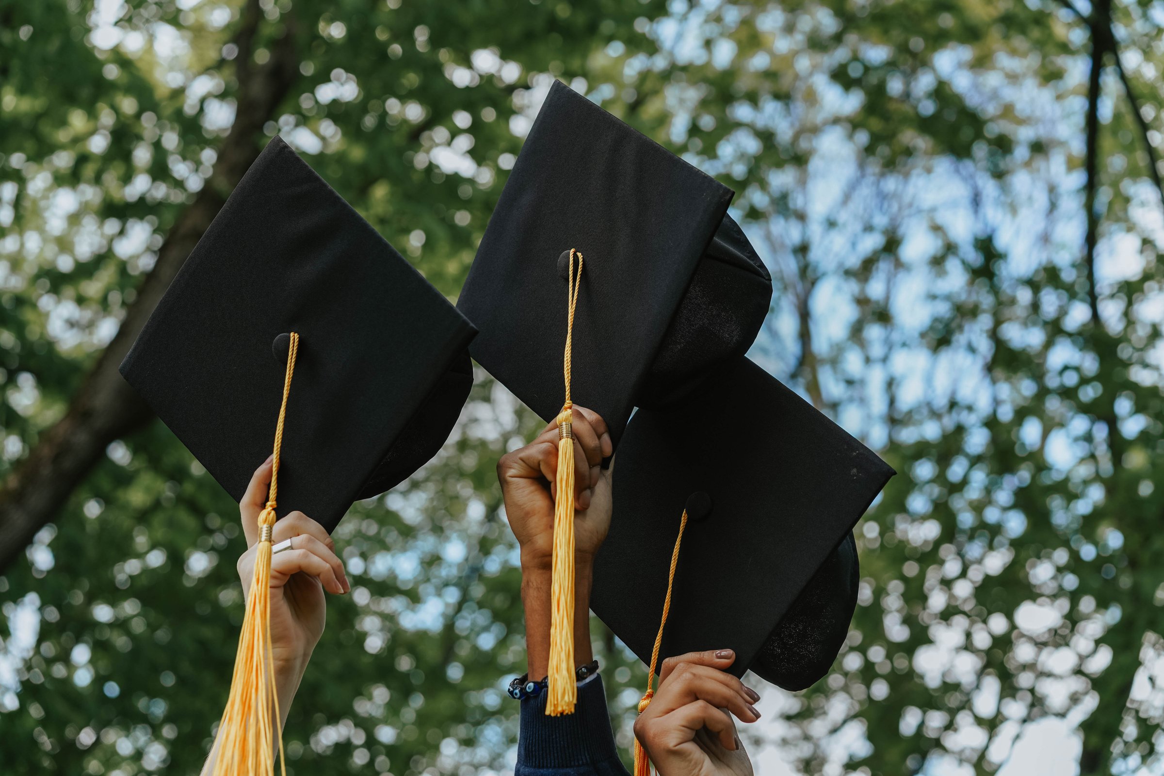 A Group of Person Holding Graduation Cap